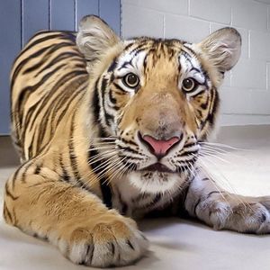 Meet your Posher, Aimee